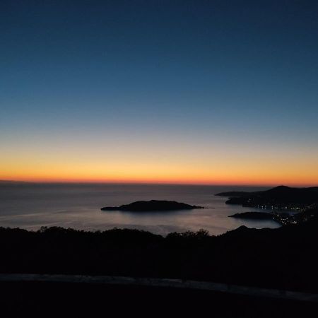 Apartments Horizont Budva Eksteriør bilde